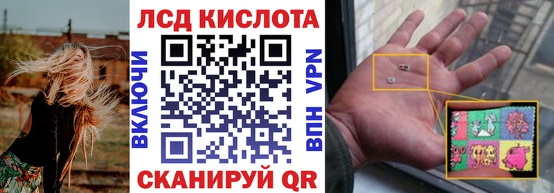 Наркотические марки 1500мкг  гидра вход  Отрадная  где купить наркоту 